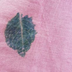 feuillage-de-boucles-de-chanvre