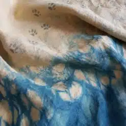 chat-sur-la-plage-echarpe