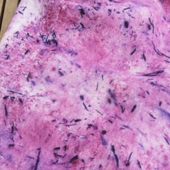 Pourpre-echarpe-le-portage