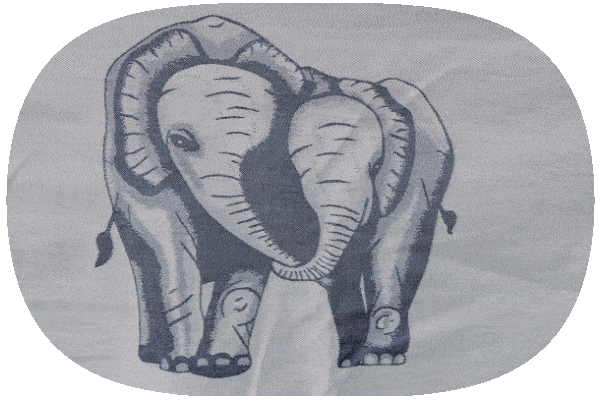 Pourquoi le lien est non seulement important mais essentiel à la vie